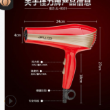 廠家供應(yīng) 佳力8331家用時尚吹風機冷熱風靜音2000W專業(yè)電吹風