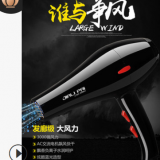 廠家直銷 佳力牌理發(fā)店專用吹風機 大功率負離子專業(yè)寵物電吹風筒