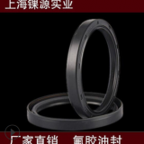 氟膠油封 丁青TC骨架油封旋轉(zhuǎn)油封 橡膠密封件油封生產(chǎn)廠家
