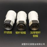 廠家供應(yīng) PPR活接熱水器太陽能活接 水表接頭 小活接熱熔接頭配件