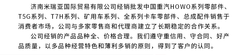 V型推力桿_12.jpg