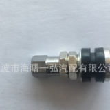 供應(yīng)優(yōu)質(zhì) 氣門嘴 汽摩配件TR161 銅材質(zhì)氣門咀 閥嘴 電動(dòng)車配件