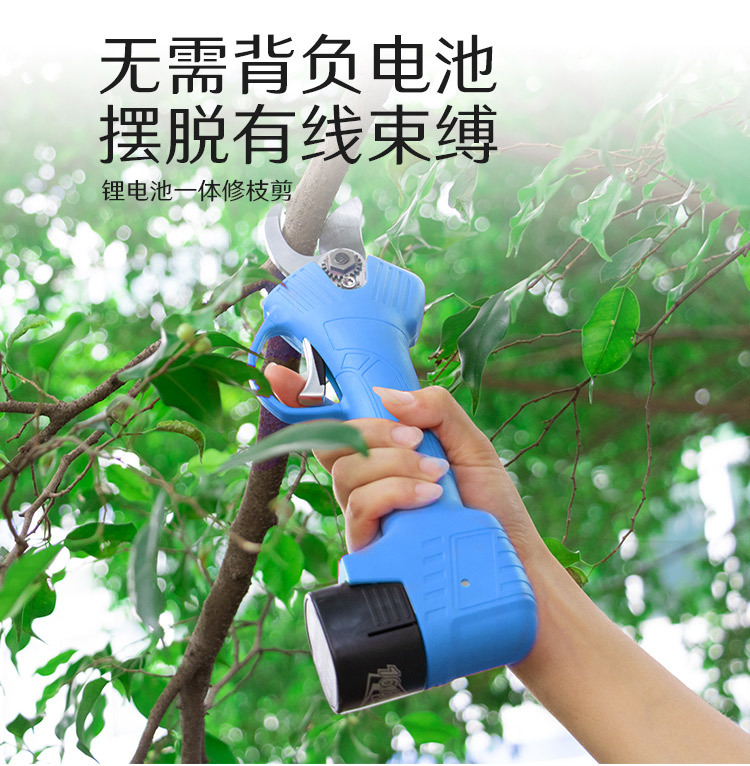 詳情1_04.jpg