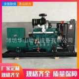 全銅發(fā)電機批發(fā)濰坊100千瓦柴油發(fā)電機組商用柴油發(fā)電機組廠家