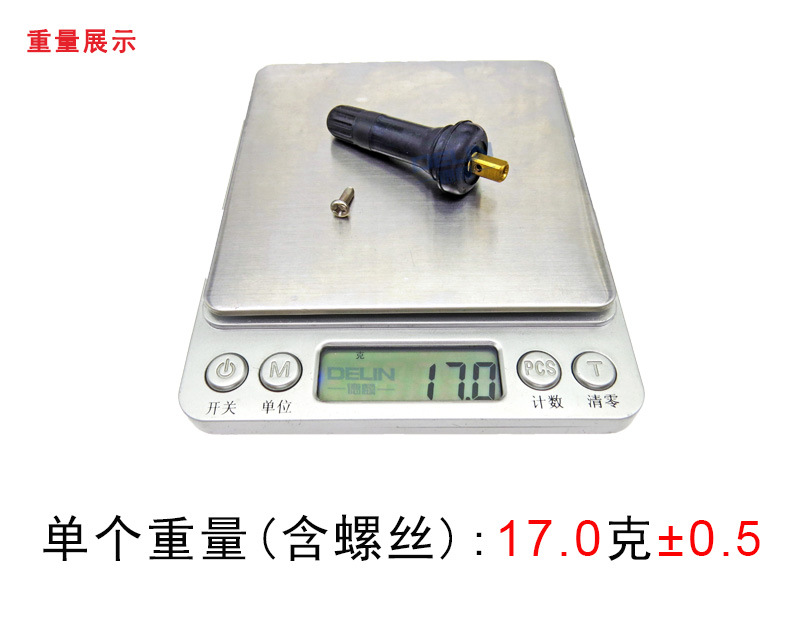 TPMS-01-1_11