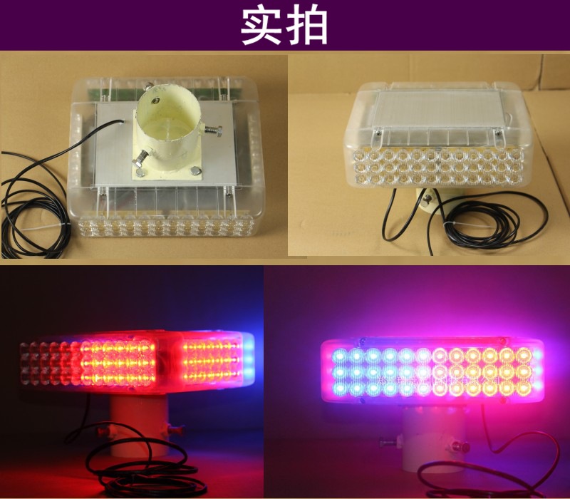實拍