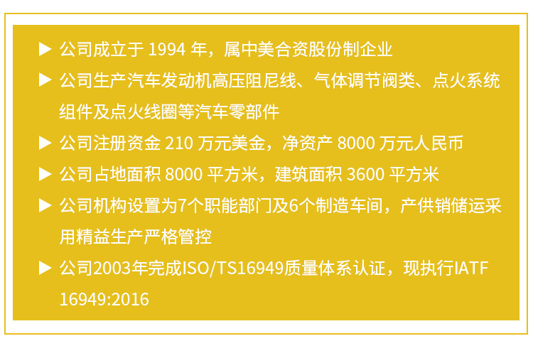 汽車配件,汽車點火零件,電子點火模塊系統(tǒng)_12.jpg