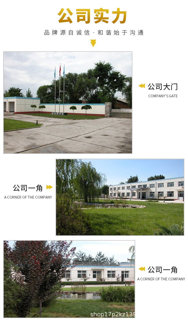 汽車配件,汽車點火零件,電子點火模塊系統(tǒng)_11.jpg