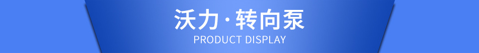 轉(zhuǎn)向泵.jpg