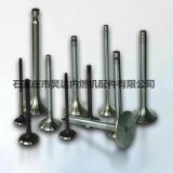 工廠現(xiàn)貨供應(yīng)適用于 大眾 榮威 三菱 奇瑞 等進(jìn)氣門排氣門