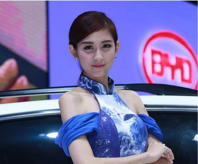 汽車(chē)芯片國(guó)產(chǎn)化不足5%，MCU芯片份額接近0，比亞迪除外