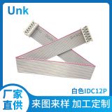 廠家定制12P成品IDC排線插排連接端子加工測(cè)試顯示屏白色DIP排線