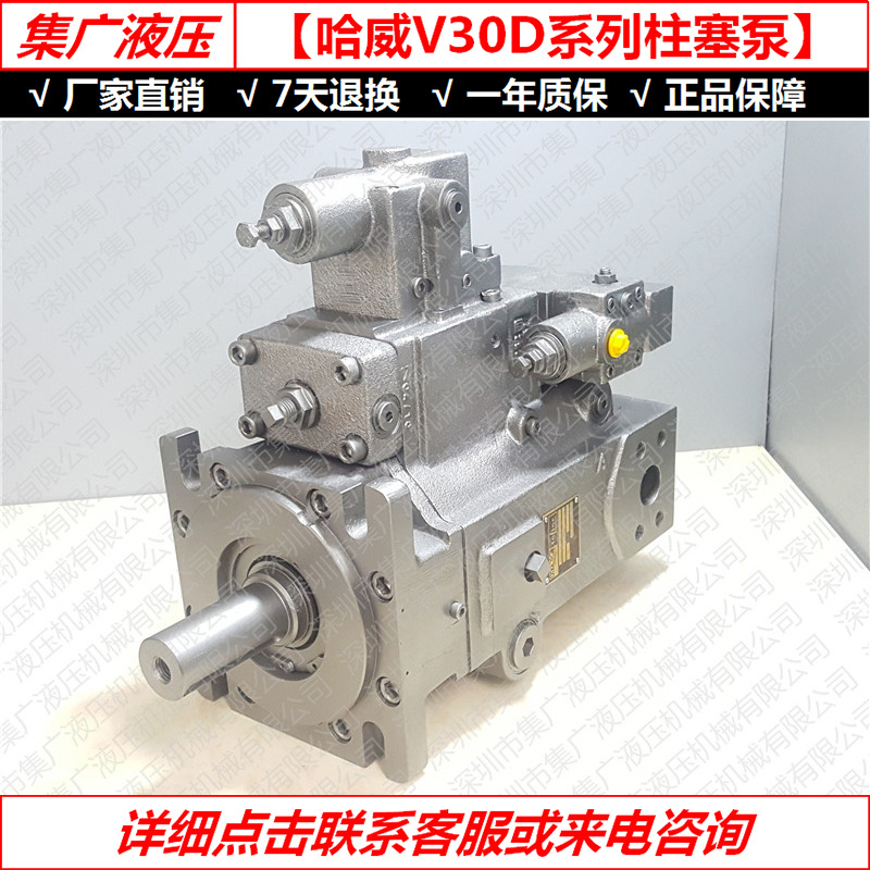 V30D-95 (4)