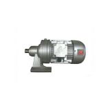 一套起發(fā) 廠家直銷立式臥式減速機 wb微型擺線針輪減速機 有保修