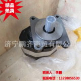 單聯(lián)，雙聯(lián)，三聯(lián)吊車齒輪泵，液壓油泵大量銷售