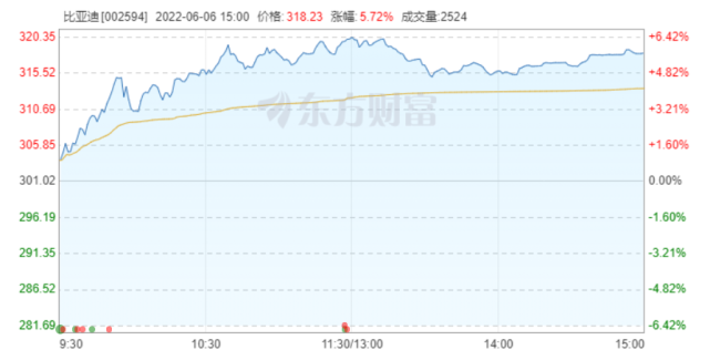 股價(jià)大漲，比亞迪5月銷量超11萬，連續(xù)三月逆勢增長