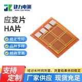 壓力測試用耐高溫應(yīng)變計(jì)應(yīng)變片HA片 高溫電阻應(yīng)變片稱重傳感器
