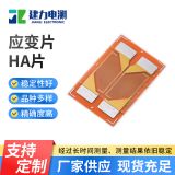HA片應(yīng)變片 壓力稱重傳感器金屬應(yīng)變片 應(yīng)變計(jì)高精度電阻式應(yīng)變片